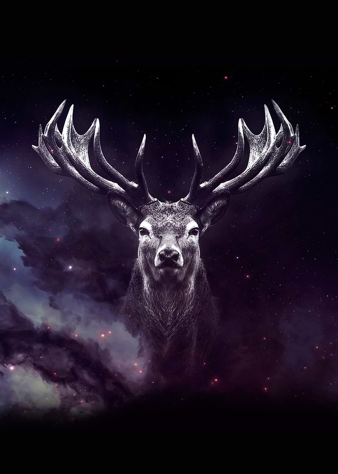 Galaxy DEER wallpaper