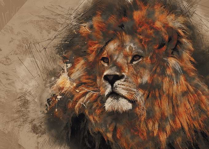 Lion Vintage