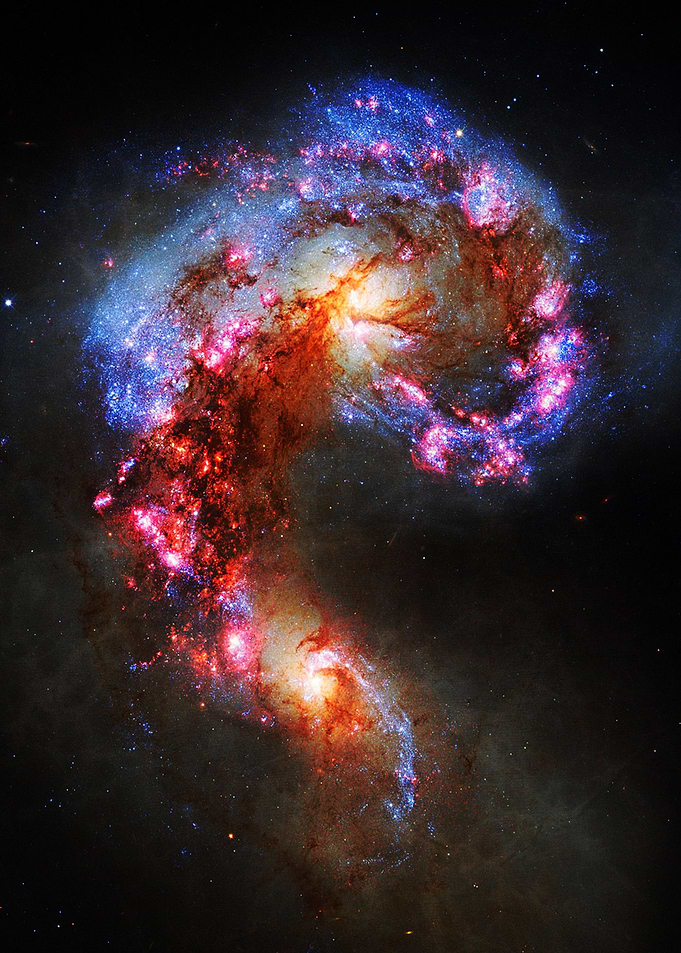 Space Shrimp
