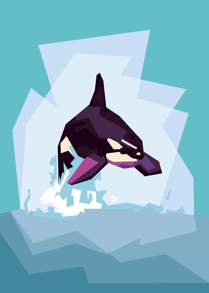 Orca
