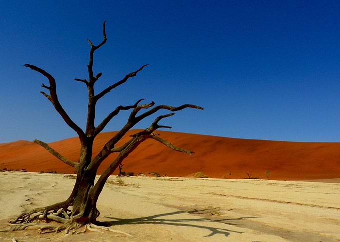Namibia Deadvlei
