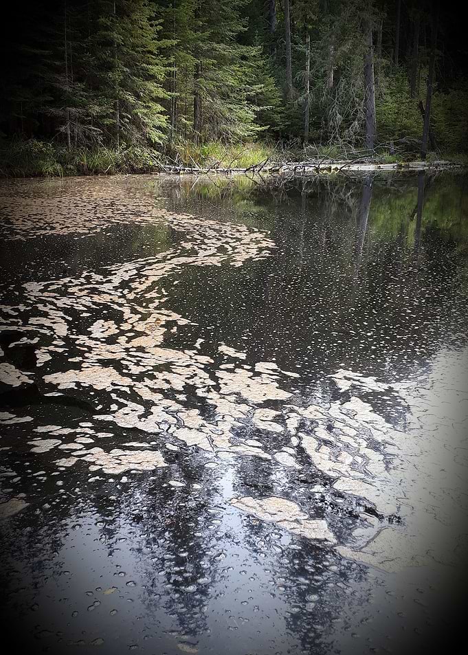 What Lies beneath