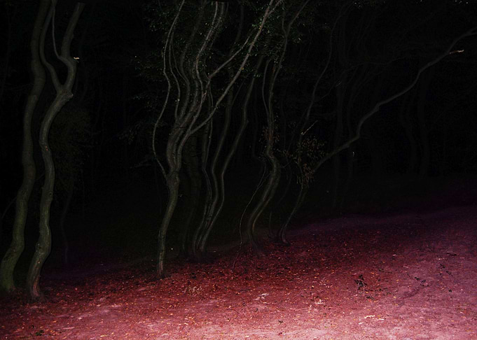 Dark Pink