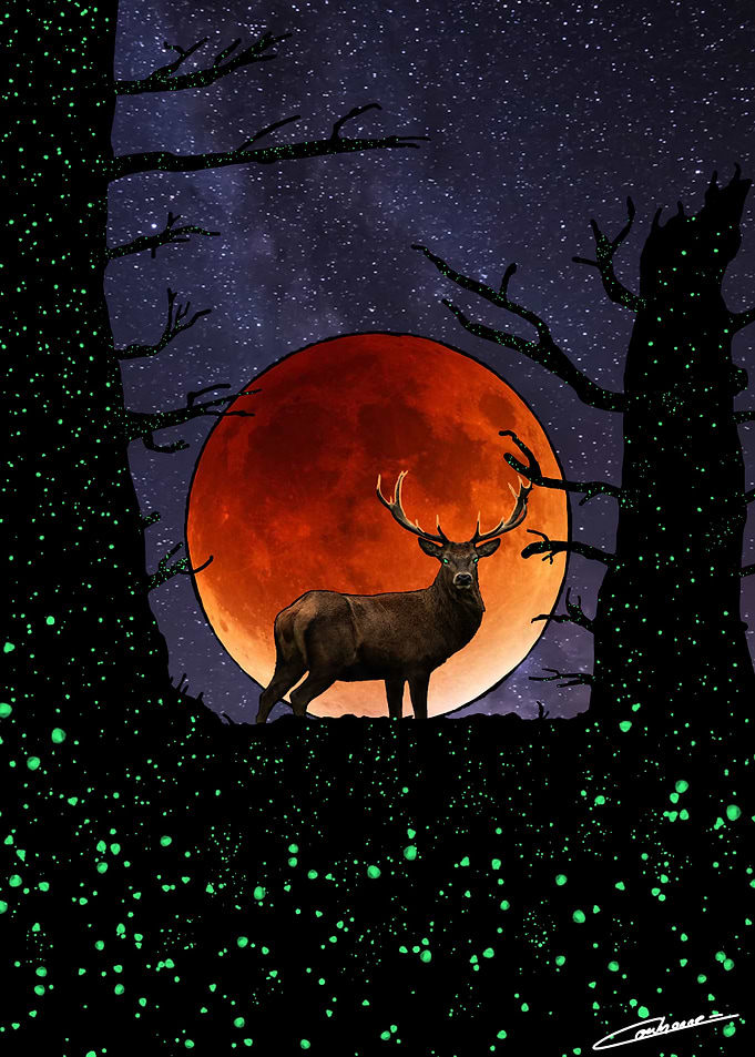 Spirit of the Forest