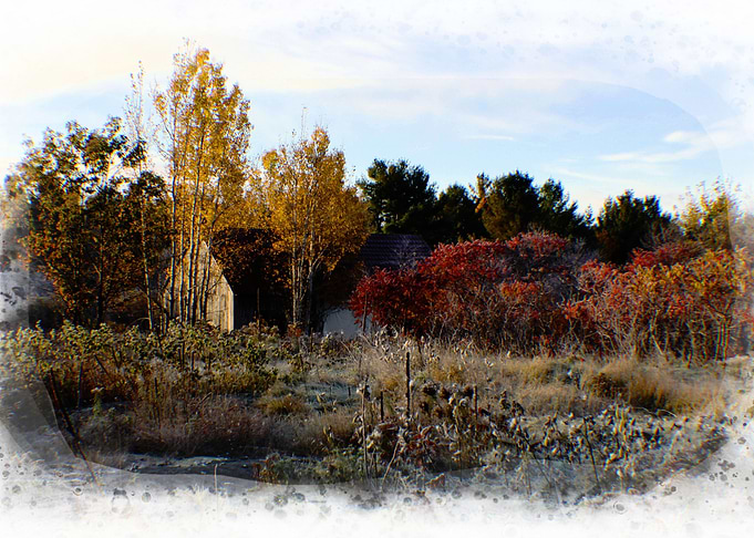 Frosty Fall Morn