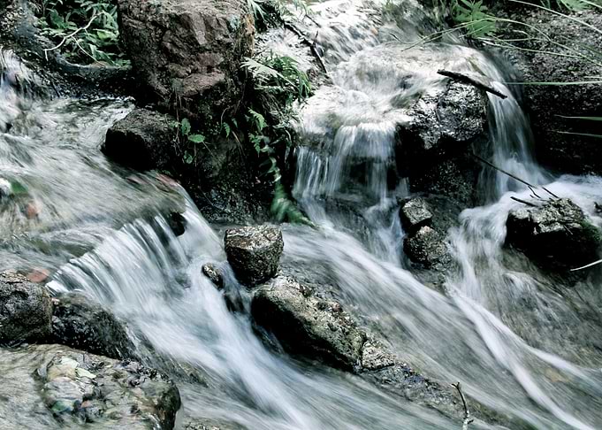 Morikami