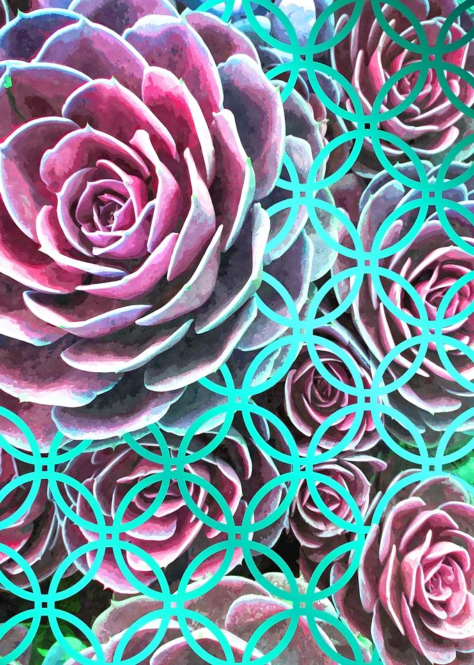 Purple Succulents Circle