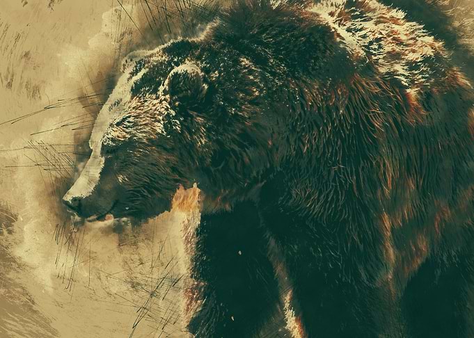Bear Vintage