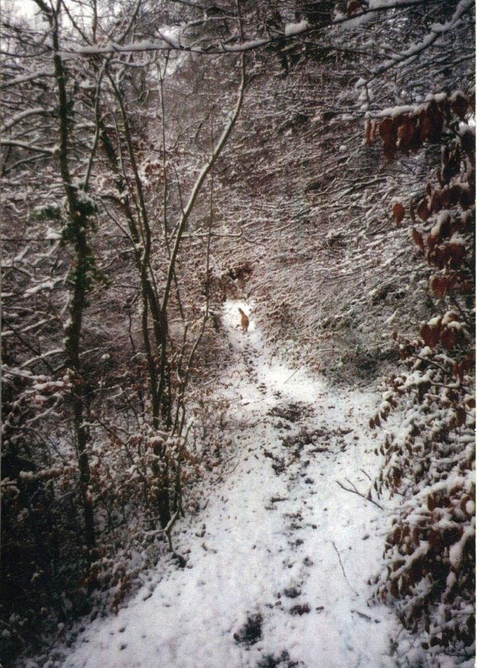 Hidden Drive No 1