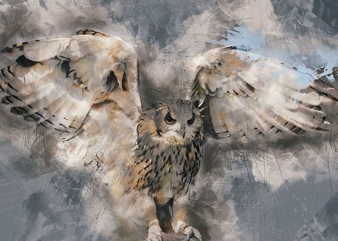 Owl Vintage