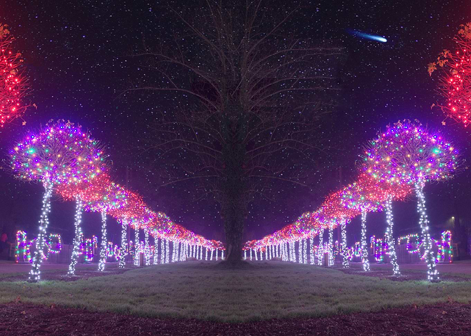 Christmas Lights