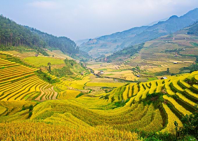 Nice terraced fields