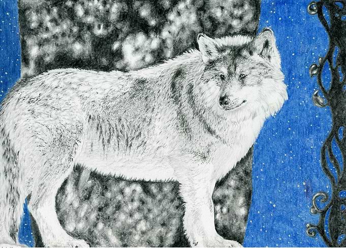 Wolf