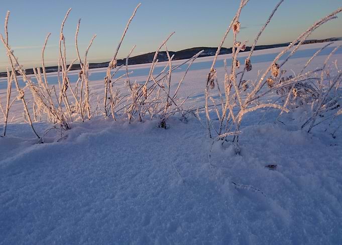 Magic Winter