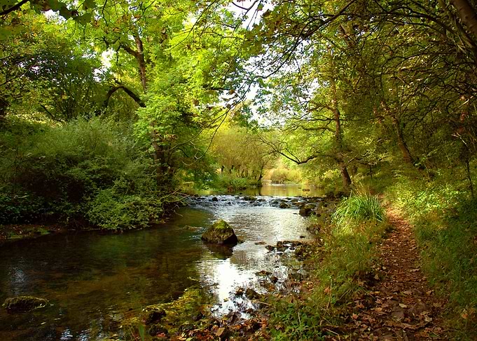 Millers Dale River Walk