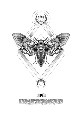 moth 1 black