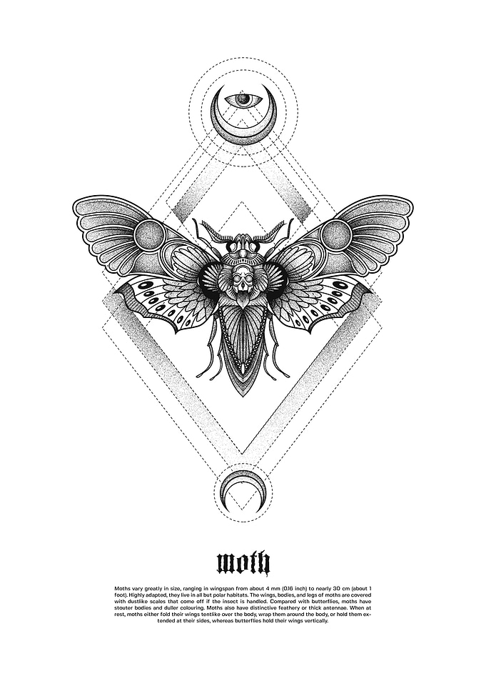 moth 1 black