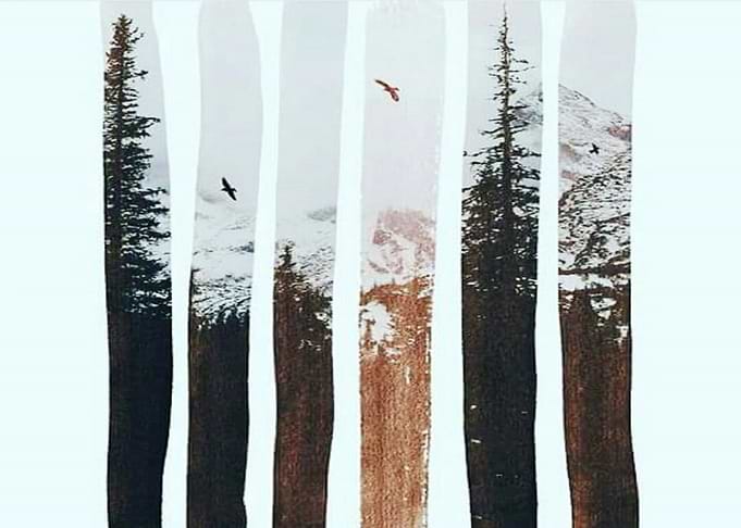 winter