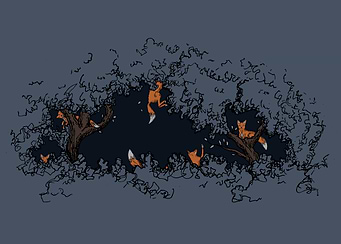 Foxy Forest