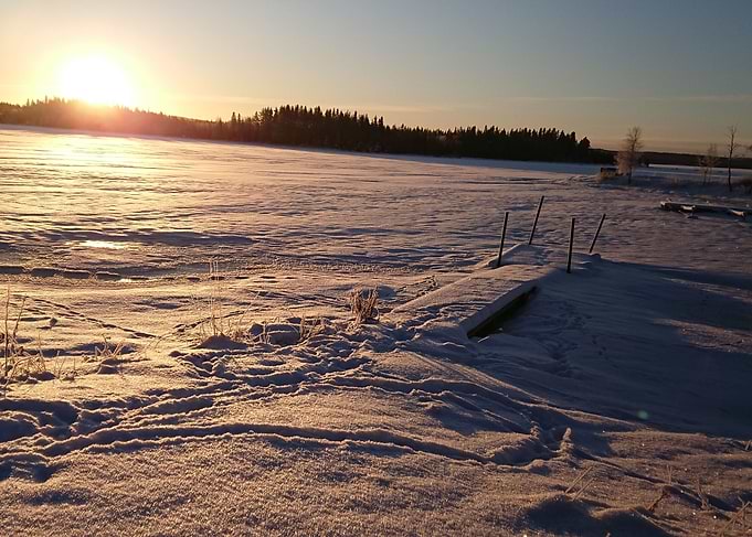 Springwinter