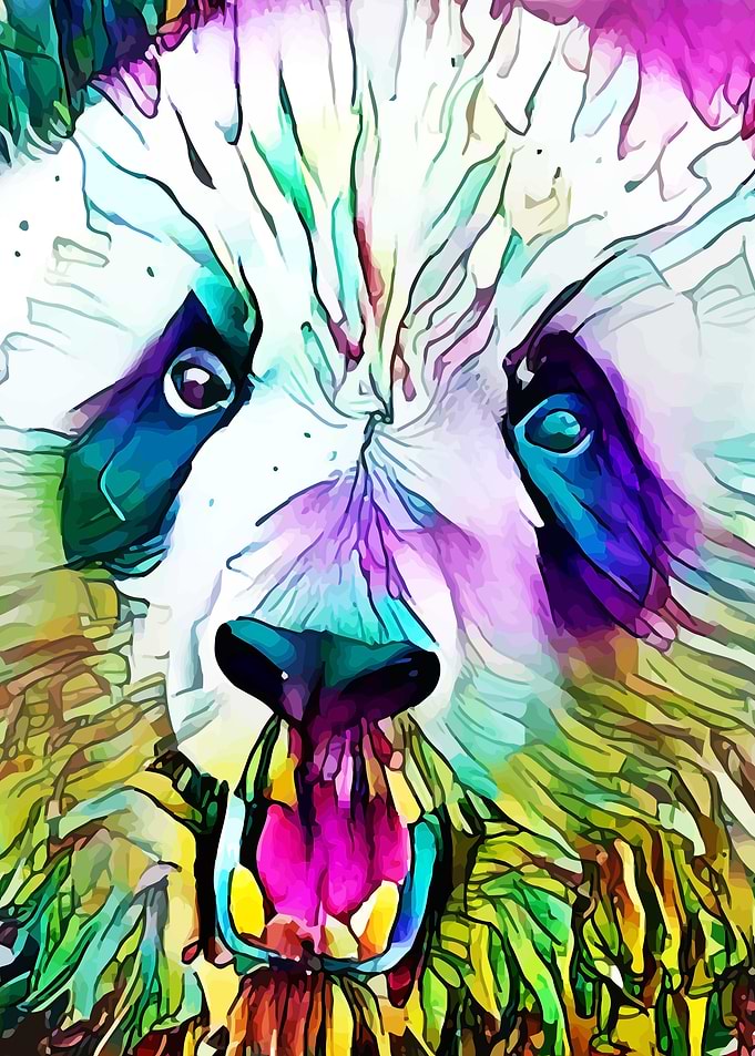 Panda