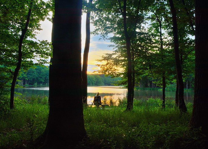 Relaxing next to the Lake