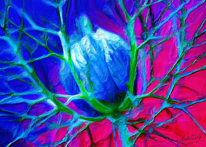 Floral Pathways