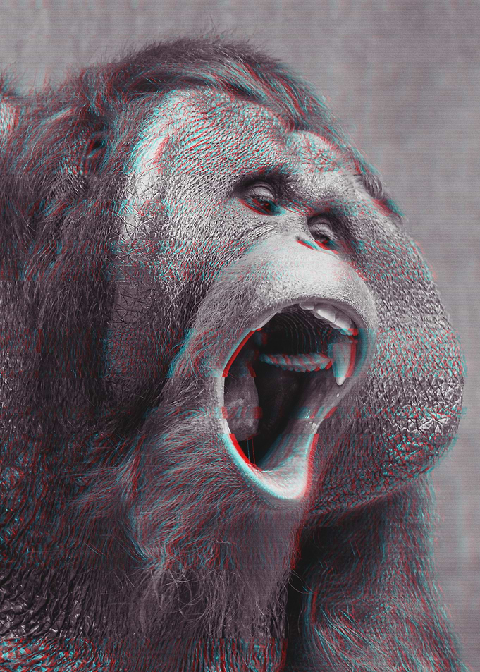 Orang Utan Glitch