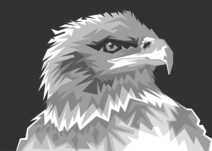 Eagle in WPAP Pop Art