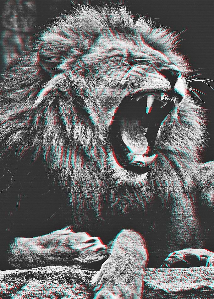 Lion Glitch