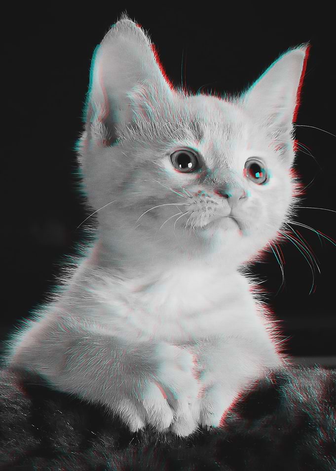 Kitty Glitch