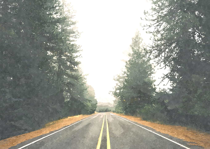 Forest Road