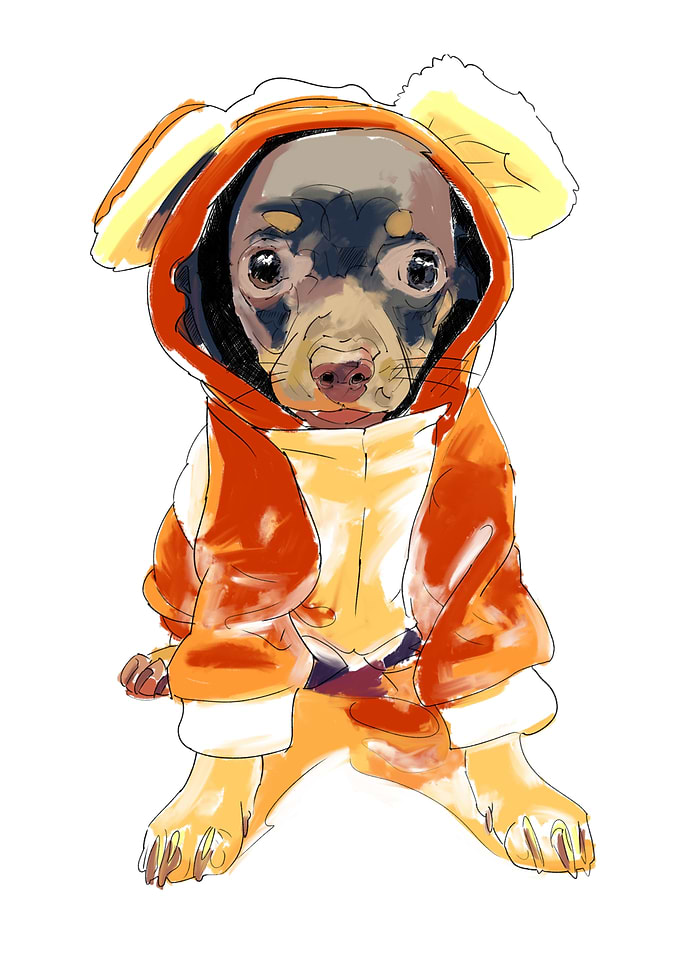 PUPPY SKETCH