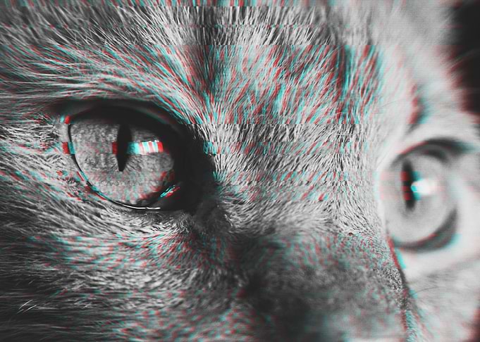 Cat Glitch