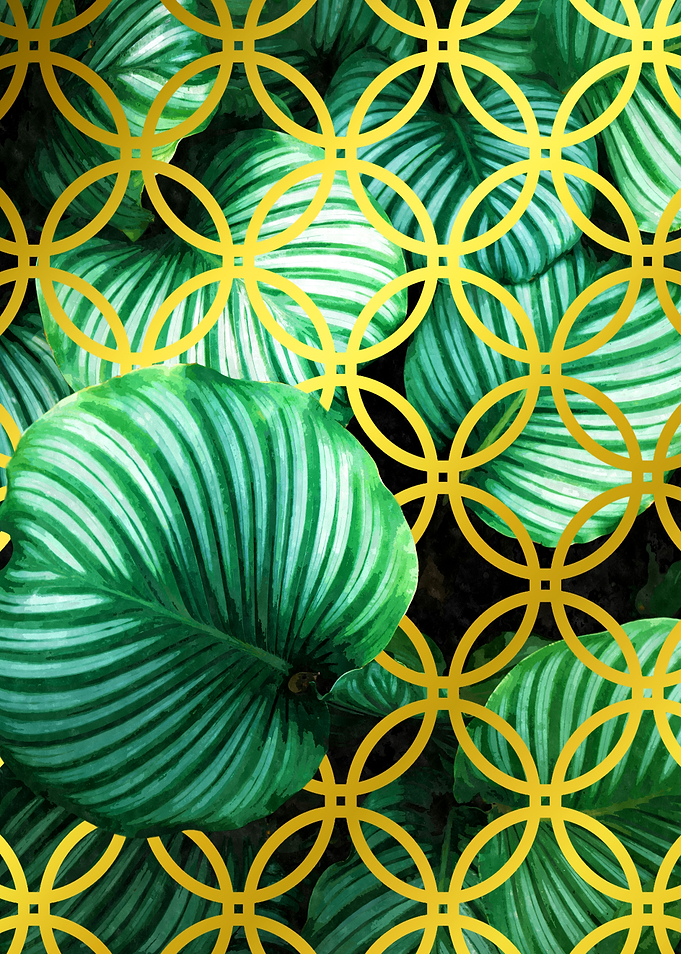 Tropical Leaves Geometric