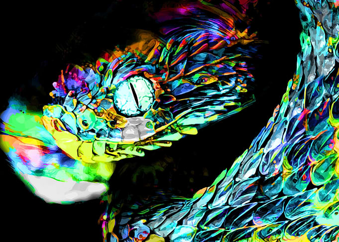 Snake