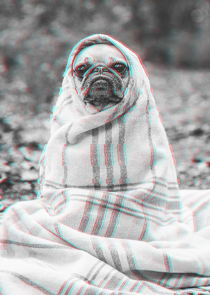 Dog Glitch