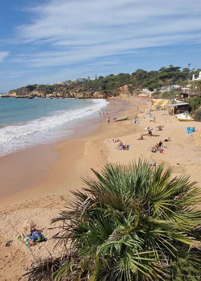 Typical Algarve Beach
