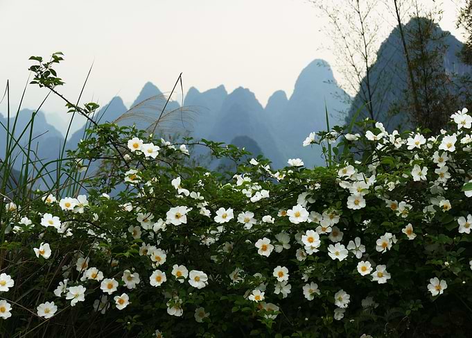 Yangshuo Karsts