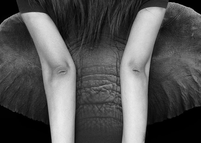 The Elephant girl