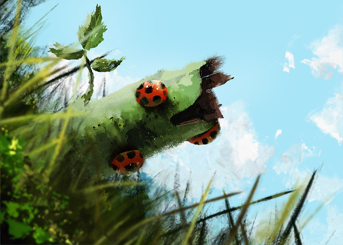 Beets