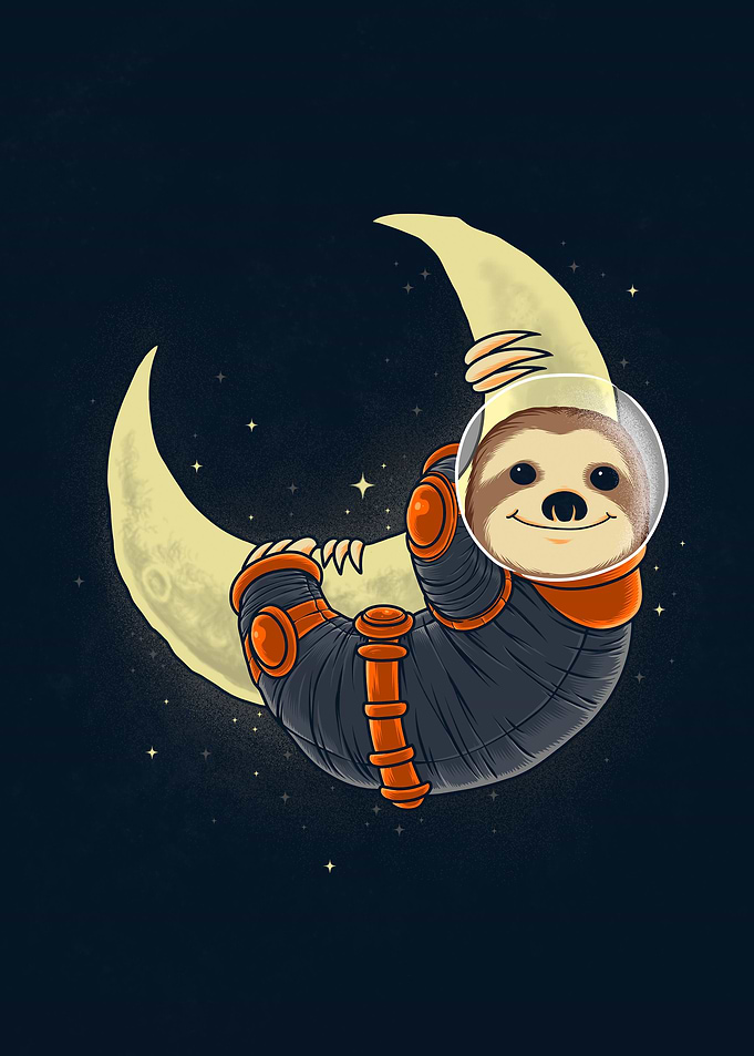 Space Sloth