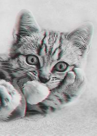 Cat Glitch