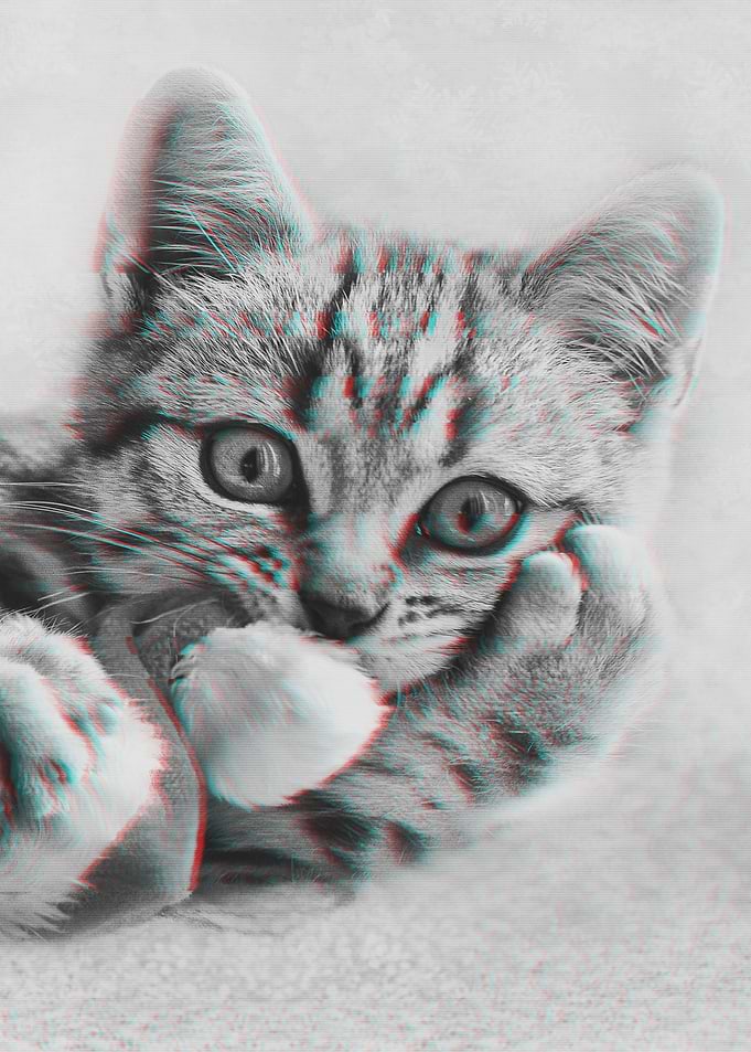 Cat Glitch