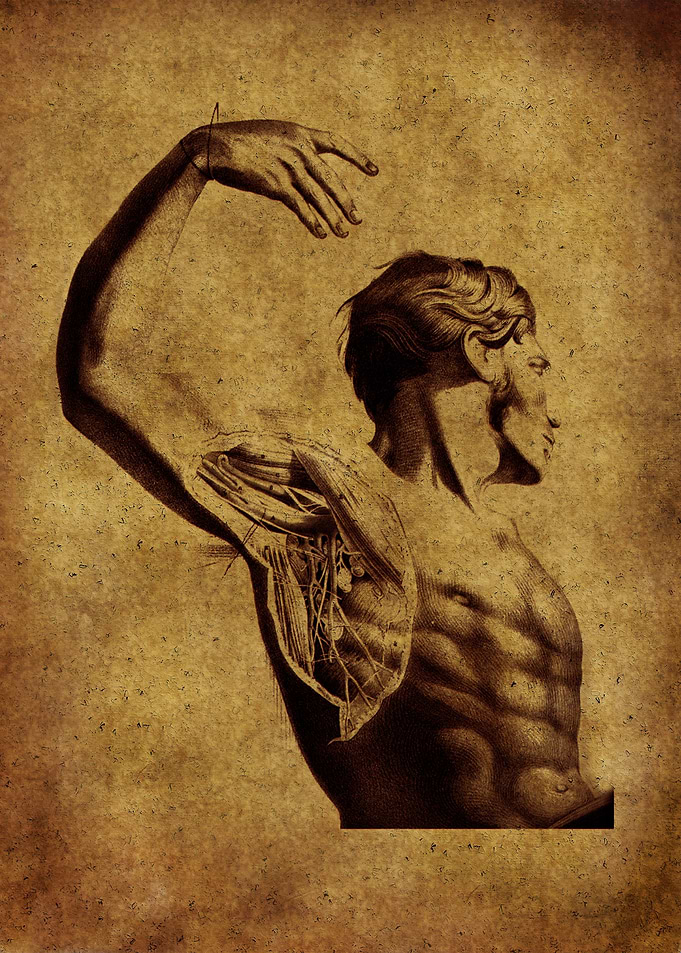 Anatomic94