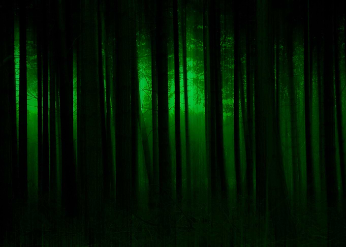 Forest Abstract
