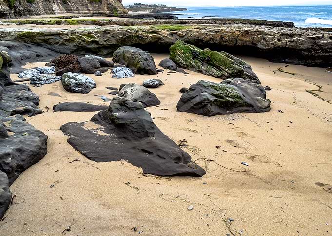 Sandy Shore