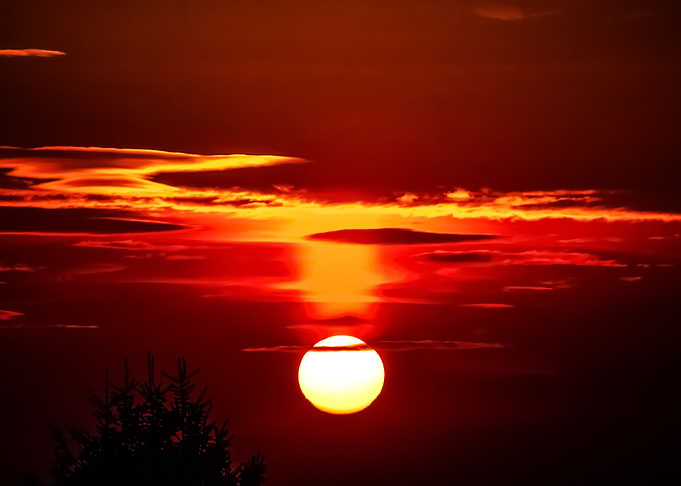 Bloody Sun