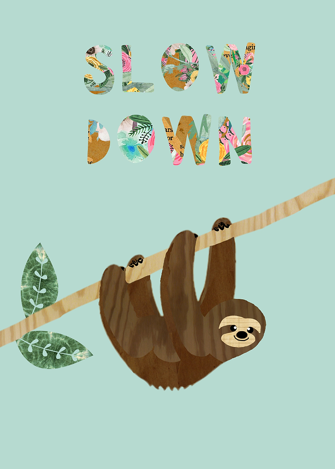 Slow Down Sloth