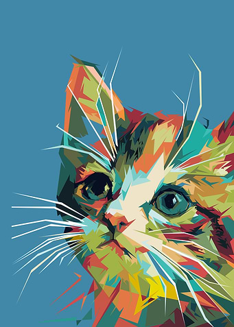 Kitten
